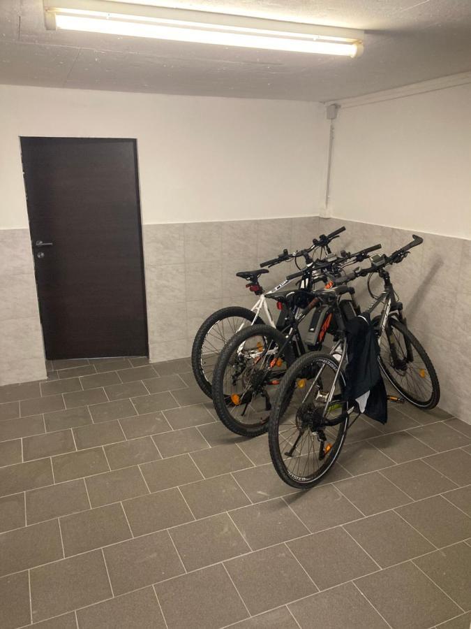 Pension Sunnseitn - Gasthof - Cafe - Weinkeller Haslach an der Mühl 外观 照片