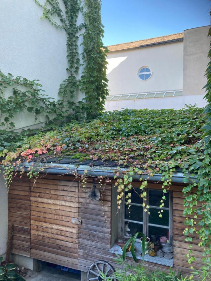 Pension Sunnseitn - Gasthof - Cafe - Weinkeller Haslach an der Mühl 外观 照片