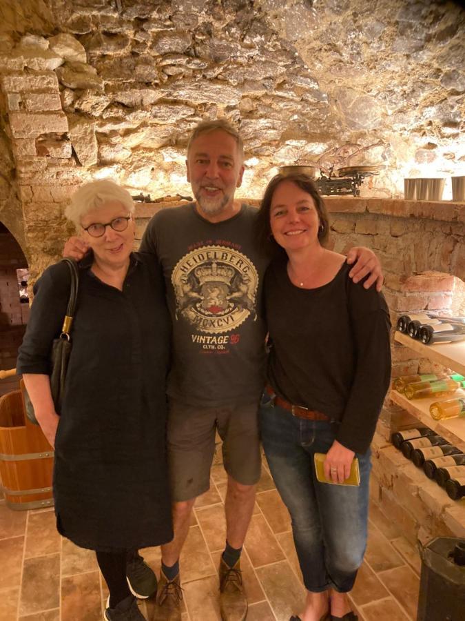 Pension Sunnseitn - Gasthof - Cafe - Weinkeller Haslach an der Mühl 外观 照片