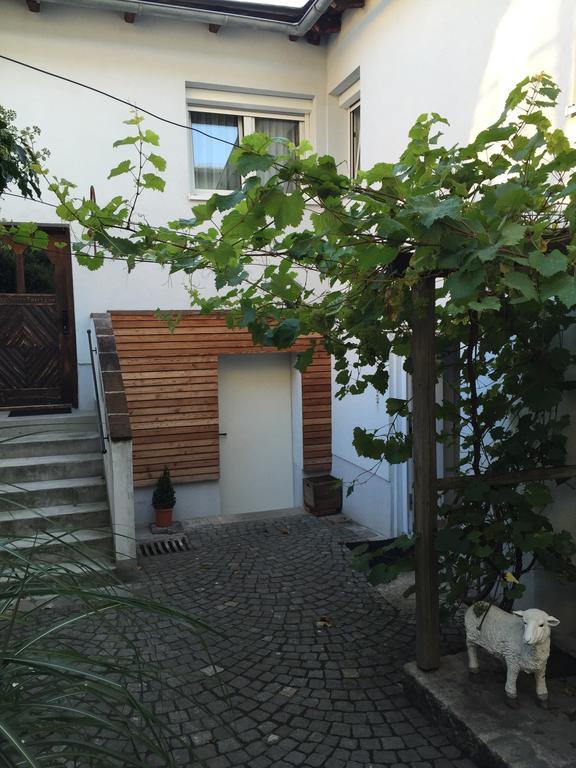 Pension Sunnseitn - Gasthof - Cafe - Weinkeller Haslach an der Mühl 外观 照片