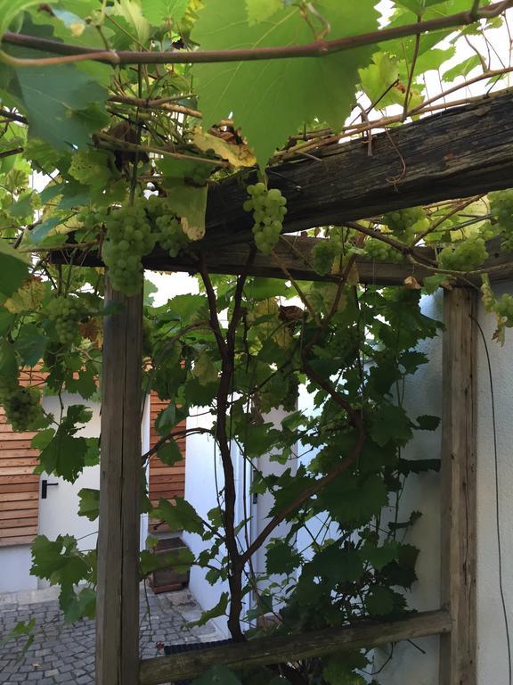 Pension Sunnseitn - Gasthof - Cafe - Weinkeller Haslach an der Mühl 外观 照片