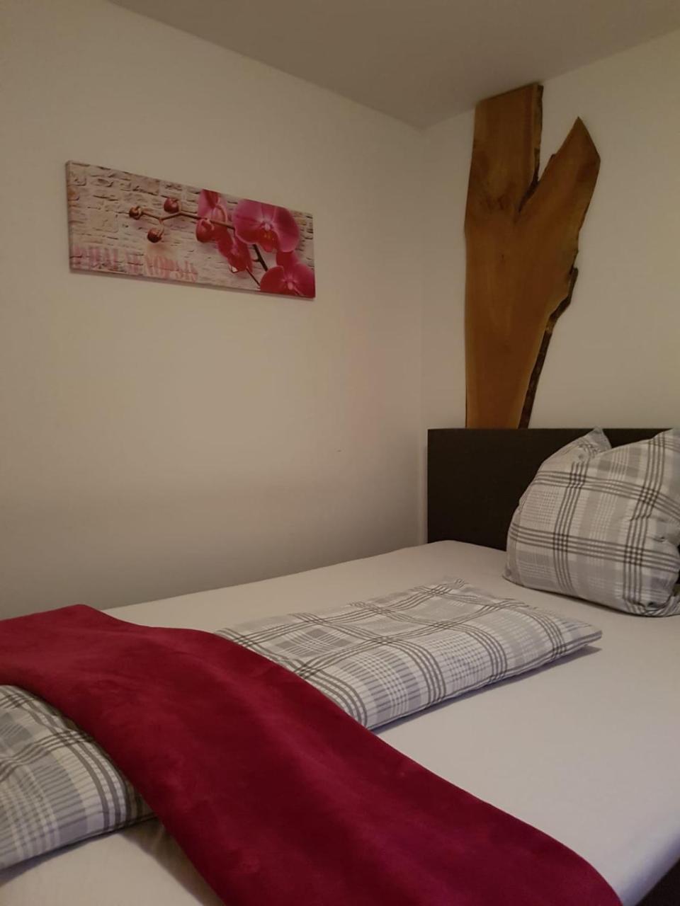 Pension Sunnseitn - Gasthof - Cafe - Weinkeller Haslach an der Mühl 外观 照片